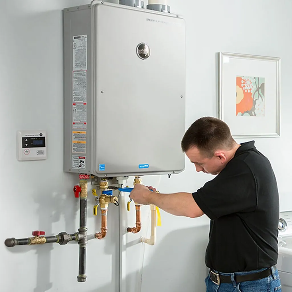 tankless water heater repair in Reddick, IL